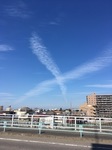 068B844D-6ECD-422A-ACB8-3E0525BD3502.jpeg