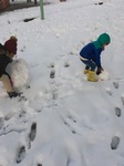 371FE047-2B43-4415-8633-70D504A06C61.jpeg